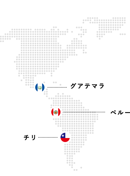 サプライヤーネットワーク(グアテマラ、ペルー、チリ)